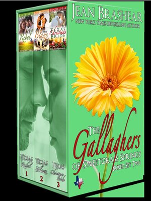 cover image of The Gallaghers of Sweetgrass Springs Boxed Set Two